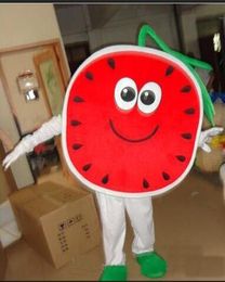 2018 Hot sale watermelon mascot costume animal cartoon costume adult children party fancy dress mascot costume free shipping