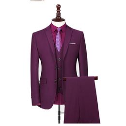 Handsome Purple Notch Lapel Two Buttons Wedding Groom Tuxedos Men Suits Wedding/Prom/Dinner Best Man Blazer(Jacket+Tie+Vest+Pants)