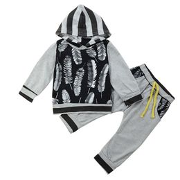 2018 Newborn Baby Boy Clothes Set Spring Autumn Grey Feather Print Long Sleeve Tops Hoodies Long Pants 2PCS Boys Clothing Infant Outfits