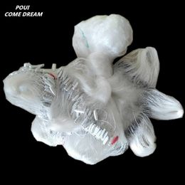 Cheap China Fish Net