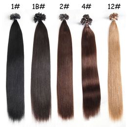 1g s 100g pack 14 24 100 human hair extensions u tip remy peruvian straight wave nail hair 5 color option