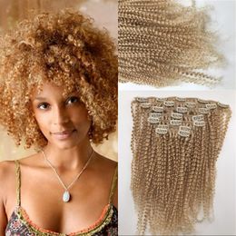 Wholesale Curly Blonde Hair For Africans Buy Cheap Curly Blonde