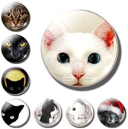 Cute cat decorative refrigerator magnets lovely animal Lucky pet Couple cat 30MM fridge magnet cat message board Home Decoration