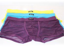 Low waist Male Sexy Pouch Underwear 8 Colours Mens Transparent Gauze Boxer Shorts Gay Funny See Through Panties