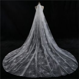 Real Picture Bridal Accessories Blusher 3 Metre Wedding Veil Star Desgin Bridal Veil Two Layer Cathedral Wedding Veil