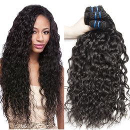 Wet Wavy Human Hair 24 Inches Online Shopping Wet Wavy Human