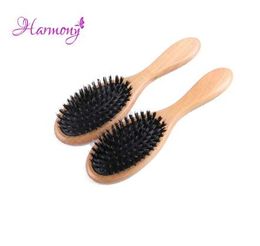 1pcs Harmony Plus Free shipping Varnish Boar Bristle Hair Brush, Hair Extensions Brush for Salon Use, Boar Bristle with Nylon