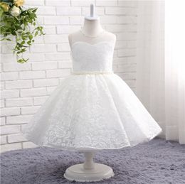 Cute Lace Ball Gown Flower Girls Dresses High Quality Zipper Back Tea Length Pearls with Beads Girls Party Dresses