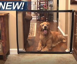 Dog Gate Mesh Magic Pet Gate For Dogs Safe Guard and Instal Pet Dog Safety Enclosure Dog Fences