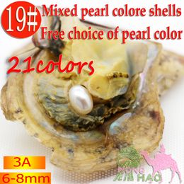 Wholesale Love Wish Pearl Party Amazing Gift Vacuum Packaging 6-8mm Oval akoya Oyster