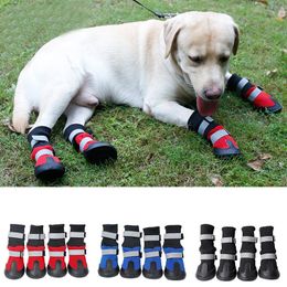 extra large dog shoes