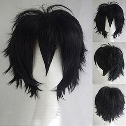 Full Wig Heat Resistant Synthetic Hair Cosplay Costume Full Cap Wigs Off Black X
