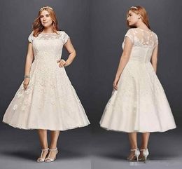 Vintage Tea-length Plus Size A-line Garden Outdoor Wedding Dresses 2024 New Oleg Cassini Short Sleeve Holiday Beach Sheer Back Bridal Dress