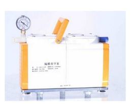 Diaphragm Vacuum Pump Oil Free Dual Head 20 L/min GM-0.33B Antiseptic