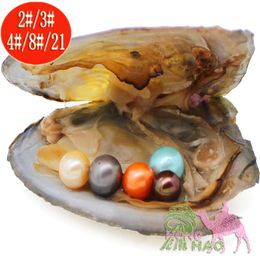 Freshwater vacuum bag oyster pearl, pearl shell 6-7 mm round 6 twin pearl, 28 color pearl. 30 pieces / lot wholesale