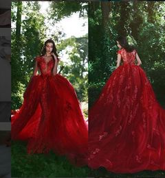 Mermaid Red Lace Elegant Evening Gowns Dresses Puffy Train 2019 Red Carpet Celebrity Formal Elie Saab Dresses Long party Prom Dresses