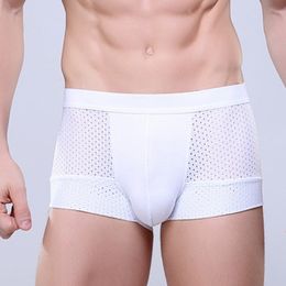 male Transparent White Cotton Underwear Hollow Out Men Mesh Sexy Erotic Underpant Trunks Boxer Panties Solid Colour High Quality