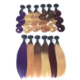 Ombre Virgin Hair Bundles Brazilian Body Wave Human Weave Two Tone Weft 1B Brown Bloned Red Blue Purple Peruvian Cheap