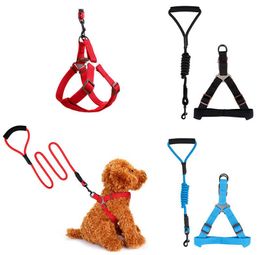 Pet Dog Training Collar Collar 5 Cores 120cm Cão de Cão com Arnês Multi Cores Durável Corda de Tracção EEE298