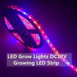 LED Plant Grow Lights 5050 LED Strip DC12V Red Blue 3:1, 4:1, 5:1,for Greenhouse Hydroponic Plant Growing IP20 IP65 Growth Light