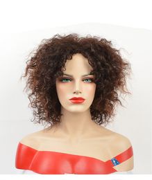 Afro Short Curly Wigs for Black Women American Natura Fulll Ombre Brown Color Hair Synthetic Wig with Highlight