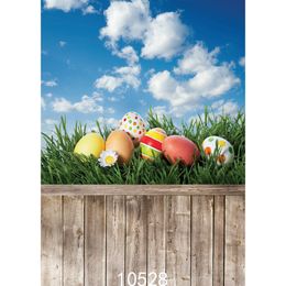 Sky Easter Eggs Wood Board Children Baby Vinyl Photography Background Computer Printed Photography Backdrop for Photo Studio