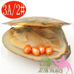 Wholesale freshwater natural pearl oysters, triangular oysters with 4pcs 6-8mm #2 orange oval pearls vacuum packaging