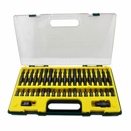 40pcs star shape hexagon bit sets hand tools S2 alloy steel torx m type 12 angle stars auto repair set