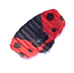 New High Quality 1.4m Ladybug Dual Line Parafoil Parachute Kites Sports Beach With Kite Handle and String Easy to Fly