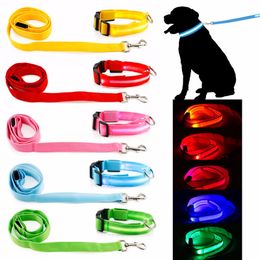 2.5CM nylon weave 120cm dog collars leashes Glow LED Flashing Light Dog Pet Leash Tether dog leashes 1.5CM 2CM hot one