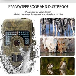 16mp 1080p Night Vision Hunting Camera with 2.36 Inch Lcd Display No Glow 38 Led Fast Trigger Ip66 Waterproof Outdoor Trail Cam