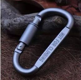 Outdoor Gear Aluminum D-ring Locking Carabiner Light but Strong, Spring Snap Key Chain Clip Hook Screw Gate Buckle Free Shipping
