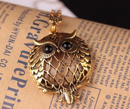 Locket Necklace Vintage Retro Antique Owl beautifully Jewelry Collar Collier Magnifying Glass Cabochon Necklaces