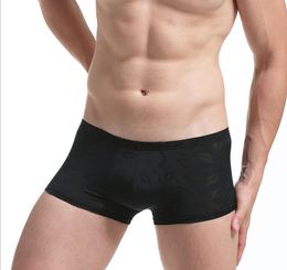 See Through Boxers 2018 Spandex Solid Underwear Men Transparent Low Waist Breathable Mesh Male Gay Underwear