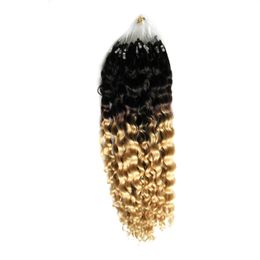 Ombre T1B/613 Hair Extensions Micro Ring Hair Extensions 100g kinky curly micro loop hair extensions for Sale