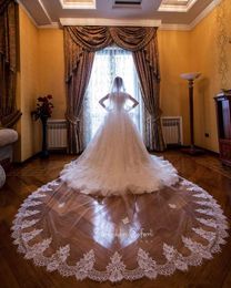 Charming Cathedral length 3M Wedding Veils Exquisite Lace Applique One Layer Tulle Bridal Veil With Comb Custom Made