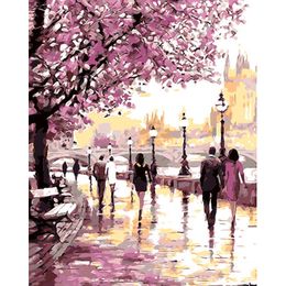 DIY Painting Paint by Numbers Cherry Blossoms Park Drawing With Brushes Paint for Adults Beginner Level 40x50cm (16 * 20 inch)