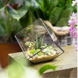 10cm Inclined Square Glass Geometric Terrarium Box Tabletop Flowerpot Garden Succulent Planter Balcony Plant Flower Pot Planter