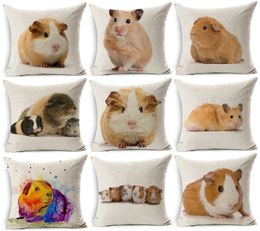 guinea pig home decor