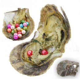 2018 Akoya 6-7mm perla redonda gemelos Variedad bien de amor del color de la perla del deseo de agua de mar ostras individualmente Paquete de vacío Tendencia regalo sorpresa