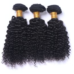 best quality virgin hair Canada - Virgin Peruvian Deep Curly Human Hair Bundles 3Pcs Lot Best Quality Peruvian Human Hair Weaves Extensions Curly Virgin Hair Wefts