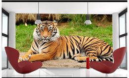 papel de parede 3D Custom Photo mural Wallpaper King of Forest Animals Northeast Tiger Crouching Tiger Hidden Dragon Mural wall home decor