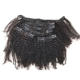 Mongolian Afro Kinky Curly Virgin Hair African American Clip In Human Hair Extensions For Black Women