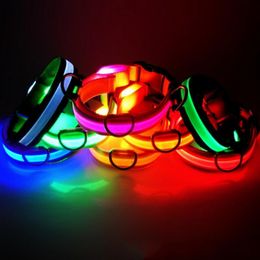 LED Nylon Dog Collar Dog Cat Harness Flashing Light Up Night Safety Pet Collars multi Colour XS-XL Size Christmas Accessories