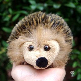 Baby Hedgehog Toy Coupons Promo Codes Deals 2018 Get Cheap Baby Baby Hedgehog Toy Coupons Promo Codes Deals 2018 Get Cheap Baby