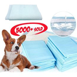 5pcs Super Absorbent Pet Diaper Dog Training Pee Pads Healthy Clean Wet Mat For Dog Cats