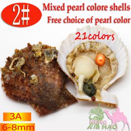 Wholesale Fashion Party Surprise Gift Sea Water Red Shell Oyster 6-8mm Ellipse Color Pearl 1pcs in Oyster