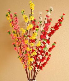 Peach Color Party Decorations Online Shopping Peach Color Party