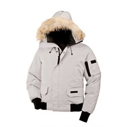 Cheap Wolf Fur Color