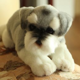 Simulation dog Schnauzer plush toy cartoon doll realistic animals dog birthday gift for children gifts creative decoration DY50295